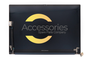 Asus ZenBook 14X 14 inches WQXGA+