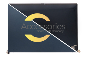 Asus ZenBook 14X 14 inches WQXGA+