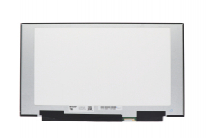EDP 15-inch 240Hz FHD matte panel