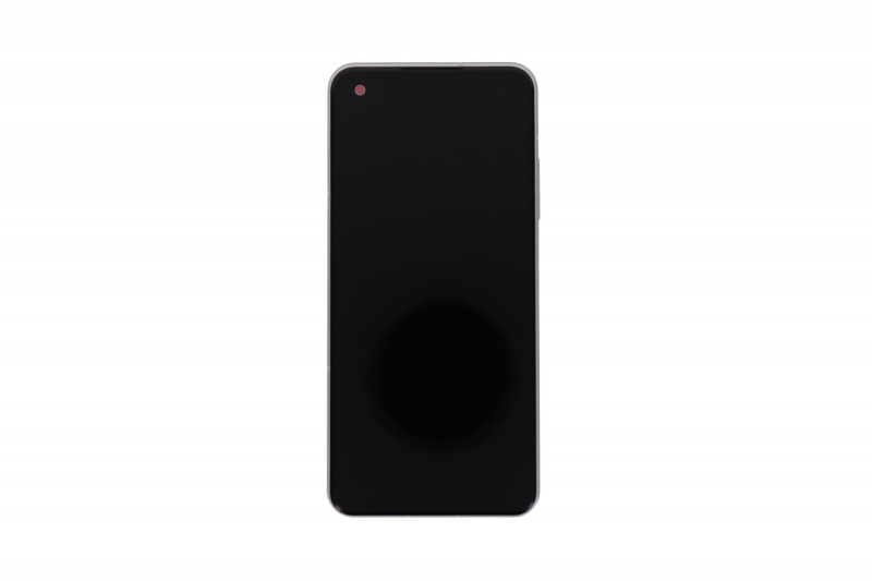 ZenFone 10- 5.92-inch Full HD+ white screen module