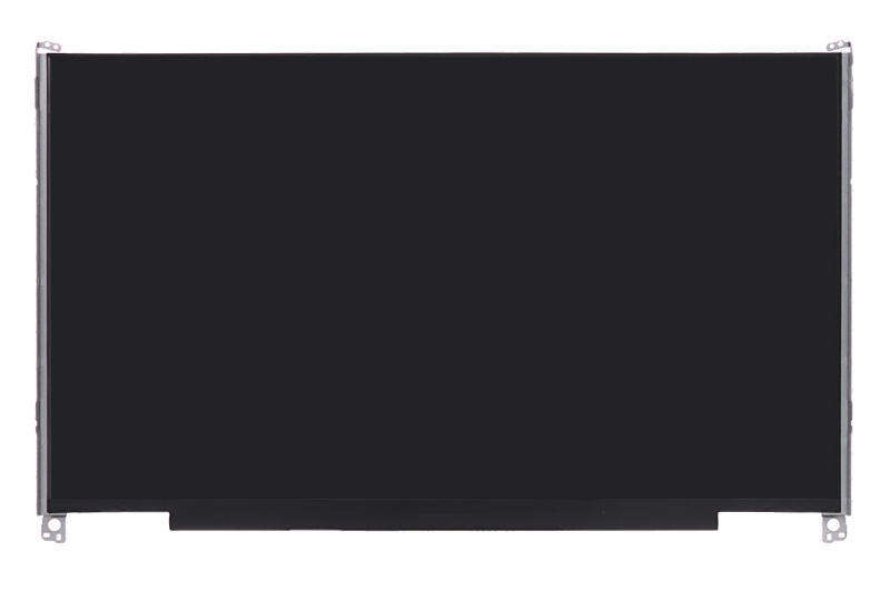 Asus 17-inch HD+ screen module